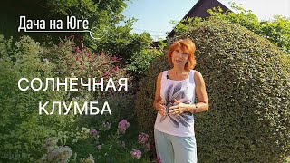 Дача на Юге - Клумба на солнечном участке