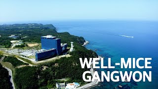 당신만의 특별한 MICE 개최지 강원ㅣWELL-MICE GANGWON