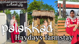 പാലക്കാട്‌ ഇത്രക്കും അടിപൊളി farmstay യോ? കിടിലൻ place. കുടുംബവും കൂട്ടവും ഇല്ലാതെ ഒരു യാത്ര 😜😊