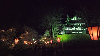 夜の高田城址公園観桜会