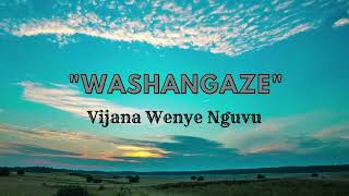 Washangaze (Official Lyric Video)