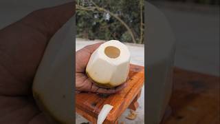 OMG 😱🔪1 Million Doller coconut cutting  #shorts #viral #coconut #satisfying #coconutcutting