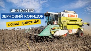 Соняшник по 18000 - Нібулон. Актуальні ціни на зерно 08.10 Як працює зерновий коридор вплив на ціни