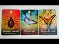 What You Have Realised About Each Other w/extended  - Pick a Card - Timeless Tarot