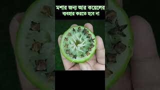 মশার জন্য আর কয়েলের ব্যবহার করতে হবে না #shorts