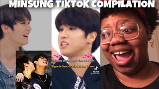 MINSUNG TIKTOK COMPILATION *Reaction*