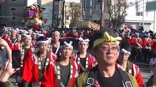 唐津くんち　翌日祭・町廻り　六番曳山　鳳凰丸