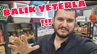 AKVARYUMA BUKADAR BALIK FAZLA