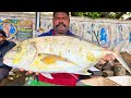 KASIMEDU 🔥 SPEED SELVAM | YELLOW TREVALLY FISH CUTTING VIDEO | IN KASIMEDU | FF CUTTING 🔪