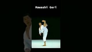 ULTIMATE MAWASHI GERI SENSEI MASAO KAGAWA OSS #karate #karatekihonkatakumite #shorts