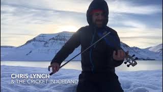 Chris Lynch Fiddle Improvisation in Iceland