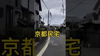 北海道的秋天 北海道 秋天落叶  日本之行 日本 旅行推荐官 东京 大阪 #日本地接 #日本地陪 #中日翻译 #小团 #定制旅游