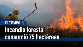 En el municipio de Cáqueza incendio forestal consumió 75 hectáreas | El Tiempo
