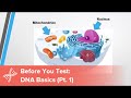 Before You Test: DNA Basics You Need to Know, Part 1