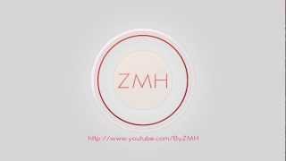 Introduction de ZMH