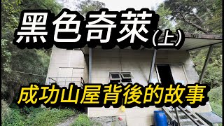 【百岳】奇萊主北 ：兩天一夜 偽單攻/成功山屋背後的故事你知道嗎？