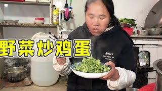 婆婆的菜園子種滿蔬菜，兒媳偷偷炒了一盤，當飯又當菜，你們吃過嗎？ 【我是趙姐】