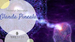 Un mister in dezvaluire: Glanda Pineala - YOUness WELLness Clinic \u0026 Retreats