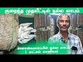 காளான் வளர்ப்பு|mushroom cultivated|குறைந்த செலவில் வருமானம் #mushroomfarm #kalanpannai