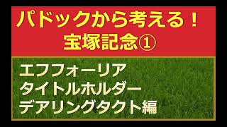 【動画付き！】パドックから考える宝塚記念①タイトルホルダー・エフフォーリア・デアリングタクトの過去好走時のパドック分析まとめ１