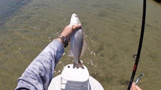 Red Fish Fishing CRYSTAL CLEAR Water (Sight Casting) SPI