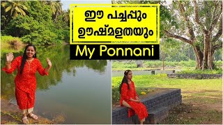 ഈ പച്ചപ്പും ഹരിതാഭയും കിടു ആണേ 😍❤️ || Ponnani Vlog || Thrikkavu temple