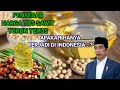 APA PENYEBAB HARGA SAWIT TURUN TERUS