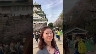 滿開桜盡在大阪城公園│20230330│大阪城公園│大阪│京阪賞櫻7天の旅│天空妹 🇯🇵 #shorts #sakura2023 #skylife0512