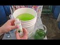 using your green water machine and making 5 gallon buckets of green water