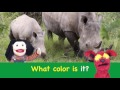 colors song learn 11 colors with real objects learn english kids