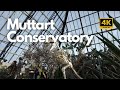 Muttart Conservatory Virtual Walk 2024 - Edmonton 4K Travel Walking Tour