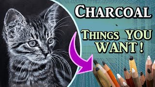 My MUST HAVE Charcoal drawing supplies!