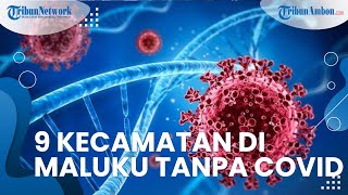 Berikut Daftar 9 Kecamatan di Maluku Tengah Tanpa Covid - 19