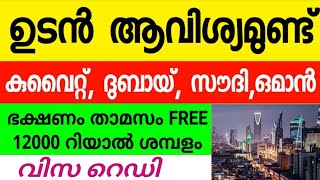 ഗൾഫിൽ നിരവധി ജോലി ഒഴിവുകൾ||വിസ റെഡി||Gulfjobsmalayalam||Gulfjobvaccancy2023||Abroadjobstoday