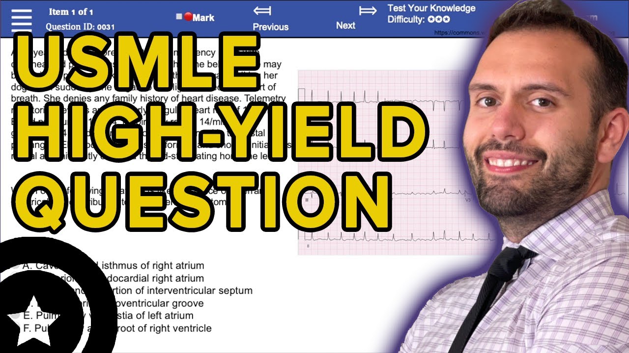 Heart Anatomy Usmle Step 1 Practice Question Breakdown High Yield