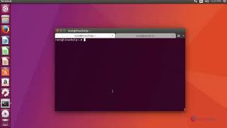 How to install Docky on Ubuntu 17.04