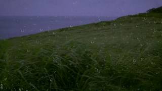Rain & Wind Sounds for Sleep & Relaxation w/ Distant Thunder & Ocean Waves | Relaxing White Noise