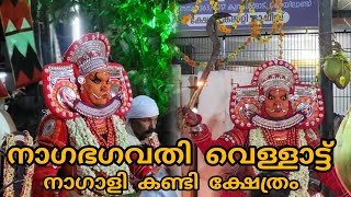 ഭഗവതി വെള്ളാട്ട് | bagavathi vellatt ശ്രീജിഷ് നാരായണൻ |നാഗാളി കണ്ടി ക്ഷേത്രം #manayolakoyilandy