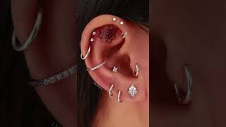 Multiple Ear Curation Piercing Jewelry for Cartilage, Helix, Tragus, Conch, Rook Piercings