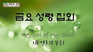 [뉴라이프 교회 - 위성교 목사] 금요 성령집회,  누가복음 19:28-48 'House of Prayer for all nations' 013125