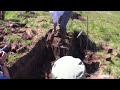 cutting peat