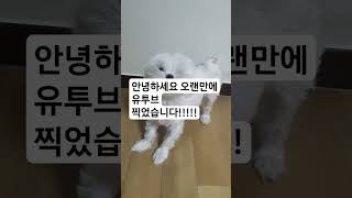 1년이 지났다!!!!! 난8살!!