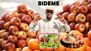 Ndiaringe yi nek thi plants sidém #layeprod