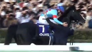 【パンサラッサ号（吉田豊騎手）が大逃げした秋天を内馬場から撮影】天皇賞（秋）1着イクイノックス号（C.ルメール騎手）\u0026遠すぎる生ファンファーレ\u0026ウィニングラン　2022年10月30日（日）東京競馬場