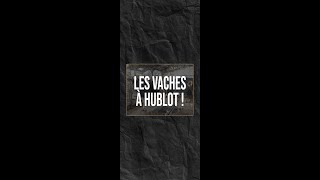 Les vaches à hublot !