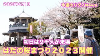 【速報】初日は９千人が来場　はだの桜まつり２０２３開催！