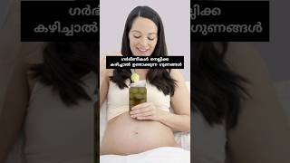 ഗർഭിണികൾ നെല്ലിക്ക കഴിച്ചാൽ #pregnancycaremalayalam #pregnancy #baby