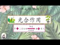 四年级 KSSR Semakan 科学 单元四 植物 【光合作用】