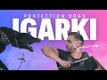 Protection Dog Seminar | Igarki Tejerina VS GSD, Canecorso, Presa, Boerboel, Bandog ETC