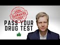 100% Guaranteed Way to Pass Your Marijuana Drug Test | This is the ONLY way to Successfully Pass